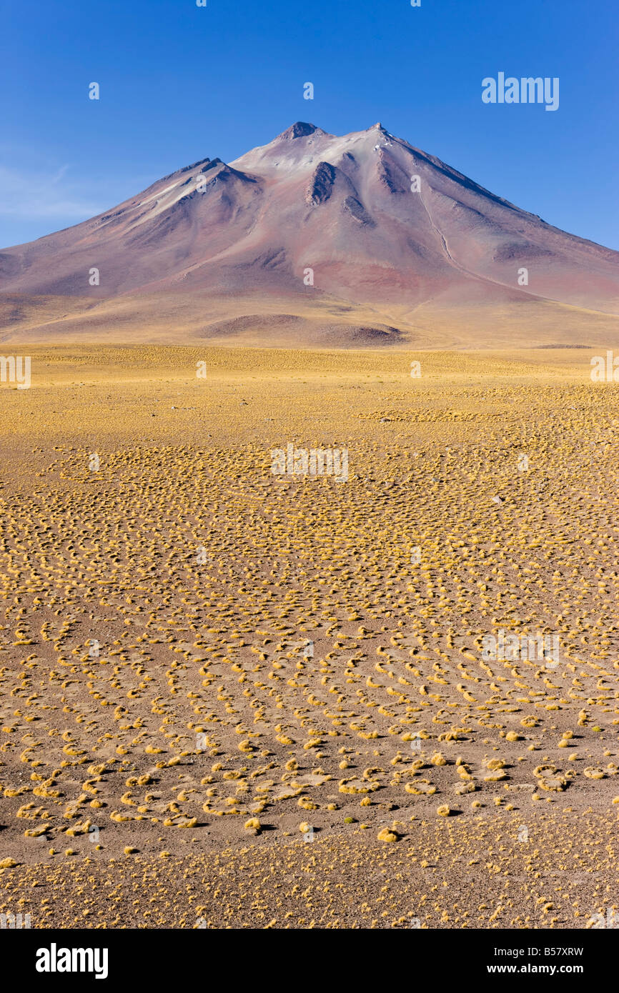 L'altiplano, los Flamencos riserva nazionale, il Deserto di Atacama, Regione di Antofagasta, Cile Foto Stock