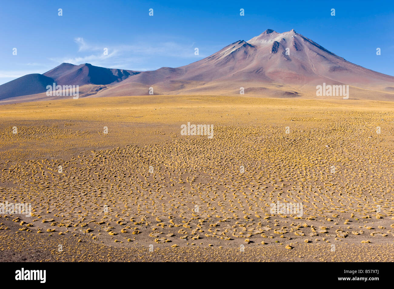 L'altiplano, los Flamencos riserva nazionale, il Deserto di Atacama, Regione di Antofagasta, Cile Foto Stock