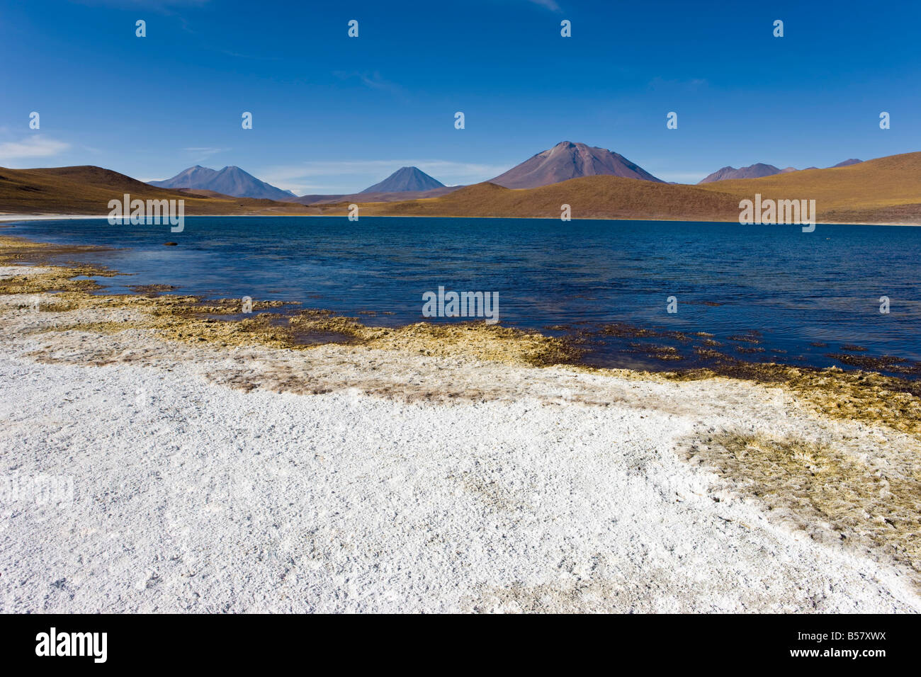 Laguna Miscanti, los Flamencos riserva nazionale, il Deserto di Atacama, Regione di Antofagasta, Cile Foto Stock