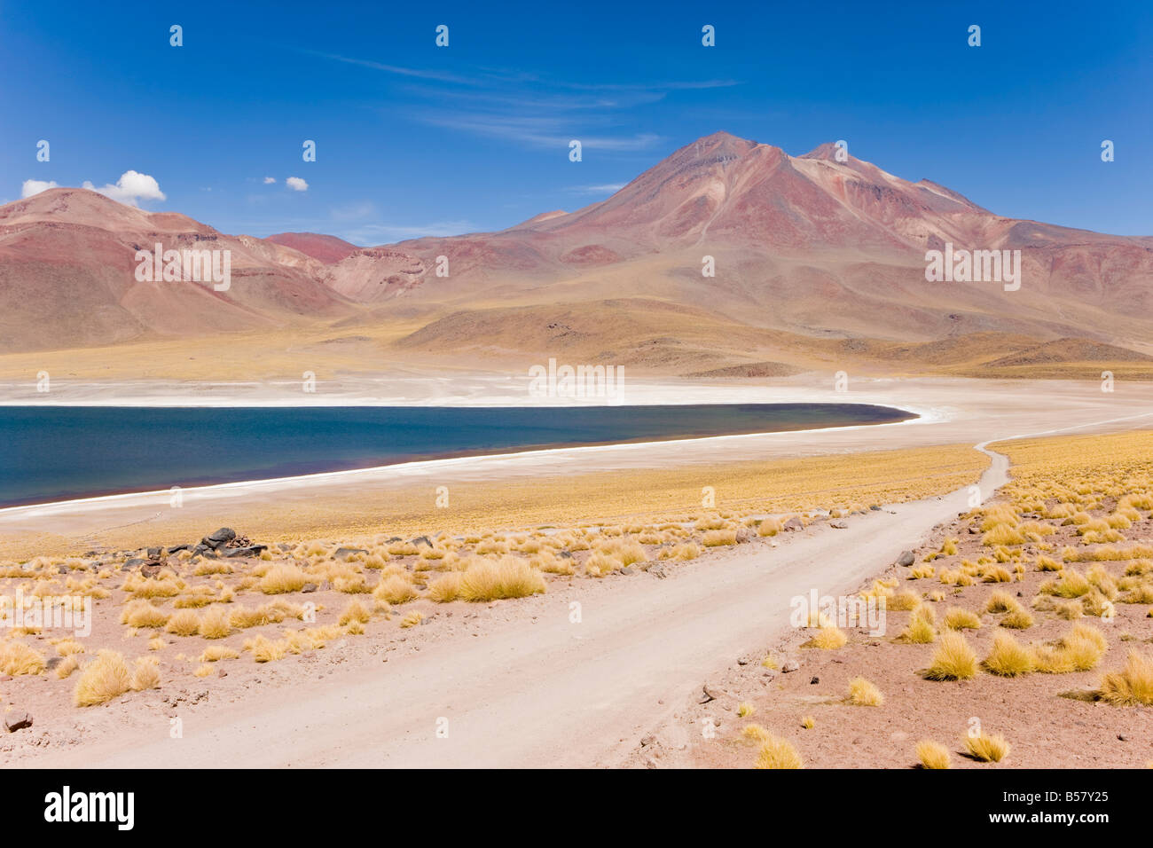 Laguna Miscanti, los Flamencos riserva nazionale, il Deserto di Atacama, Antofagasta Regione Norte Grande del Cile Foto Stock
