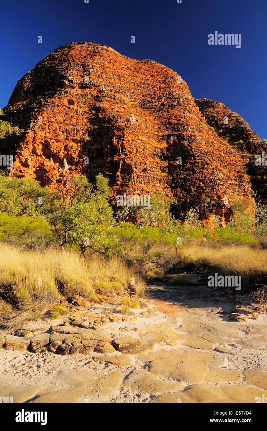 Le Cupole, Bungle Bungle, Parco Nazionale di Purmululu, Sito Patrimonio Mondiale dell'UNESCO, Kimberley, Australia occidentale, Australia Pacific Foto Stock