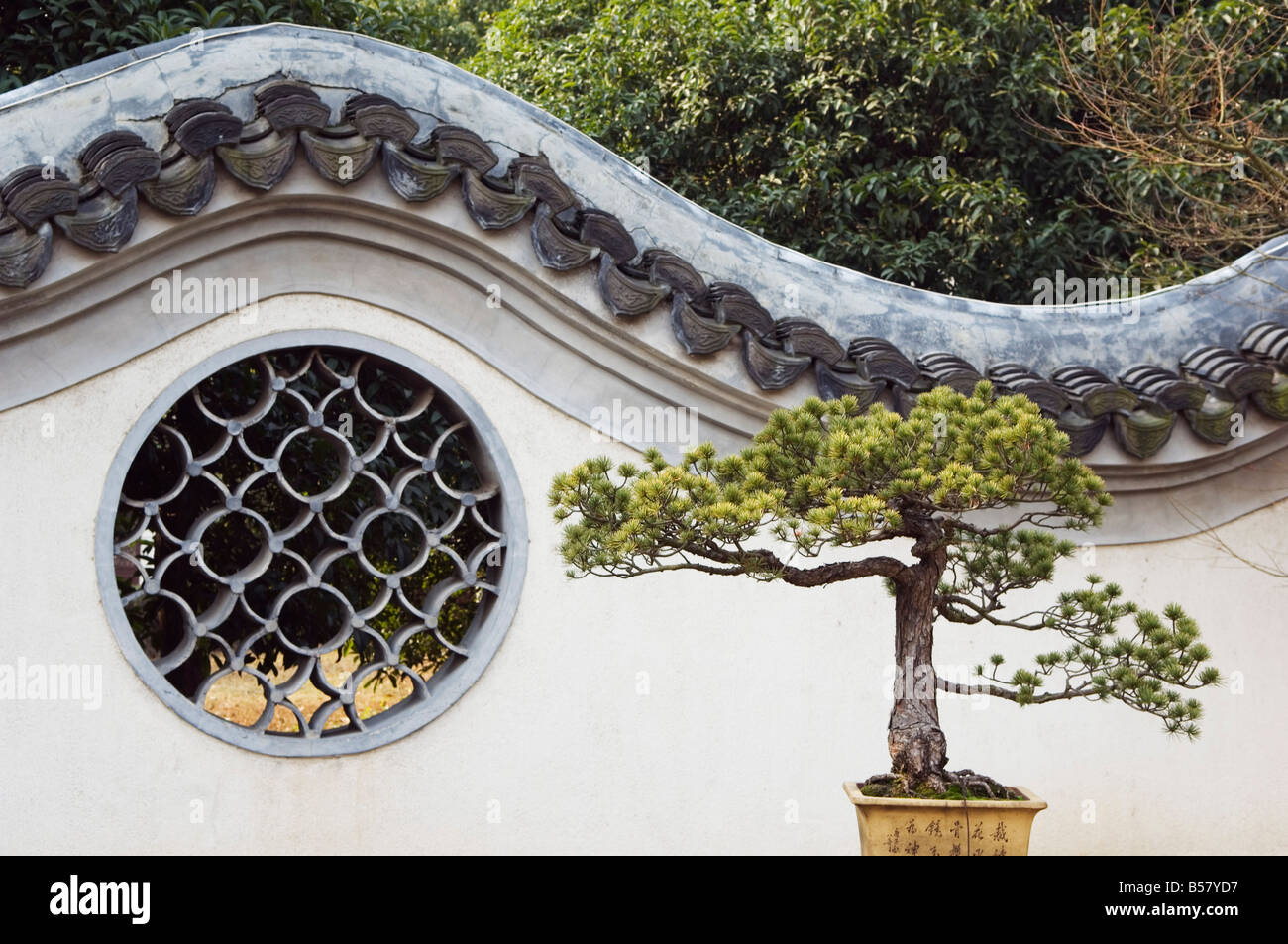 Un bonzai tree e toled parete ad arco con avvolgimento del giardino sul Lago Ovest, Hangzhou, nella provincia di Zhejiang, Cina e Asia Foto Stock