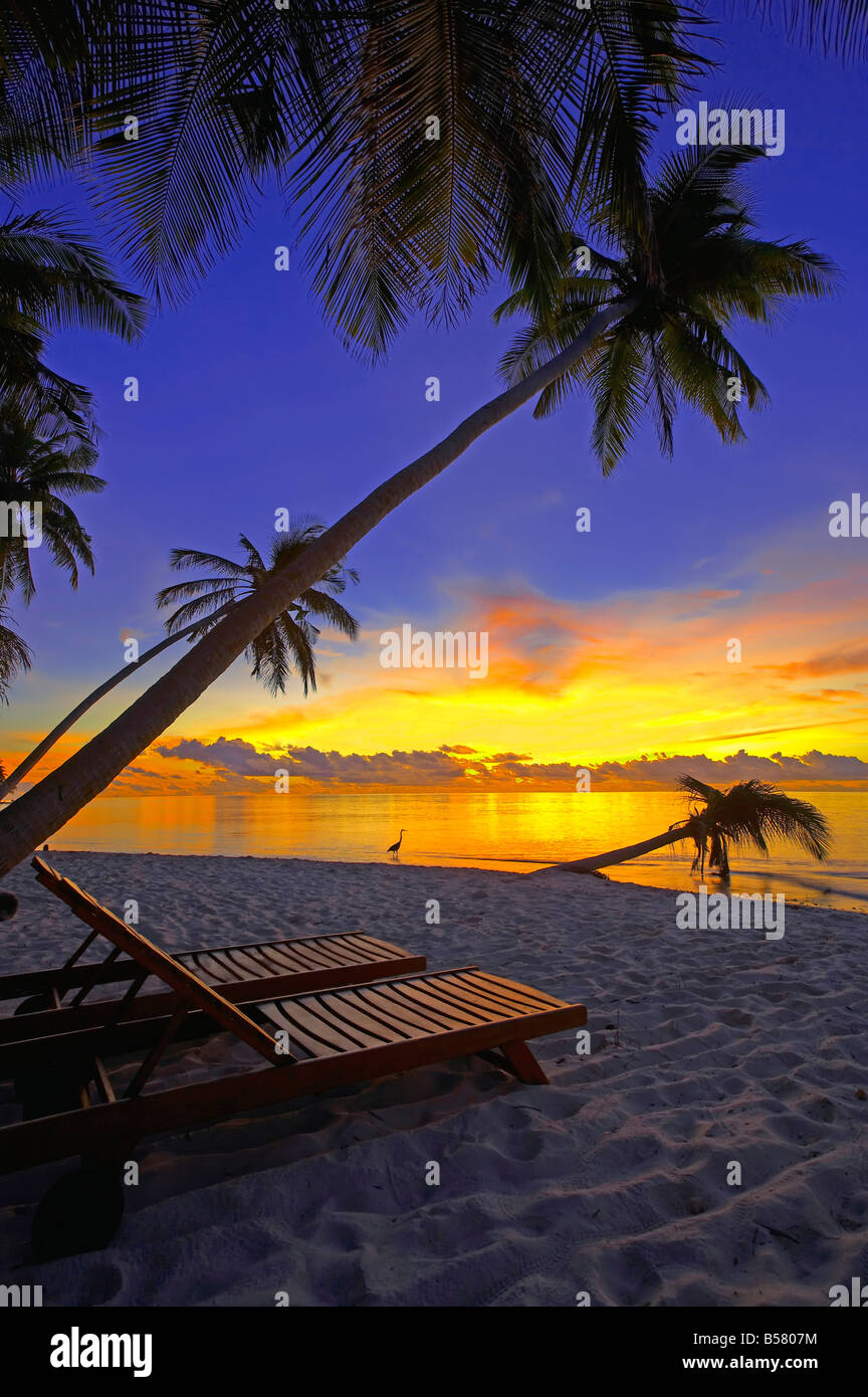 Sdraio sulla spiaggia tropicale da palme al tramonto e airone cenerino, Maldive, Oceano Indiano, Asia Foto Stock