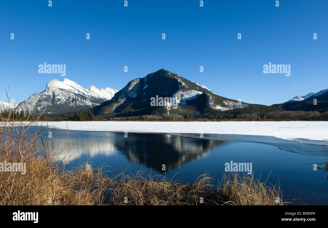 La riflessione di Montagne Rocciose in Vermiglio laghi nel Parco Nazionale di Banff, Sito Patrimonio Mondiale dell'UNESCO, Alberta, Canada Foto Stock