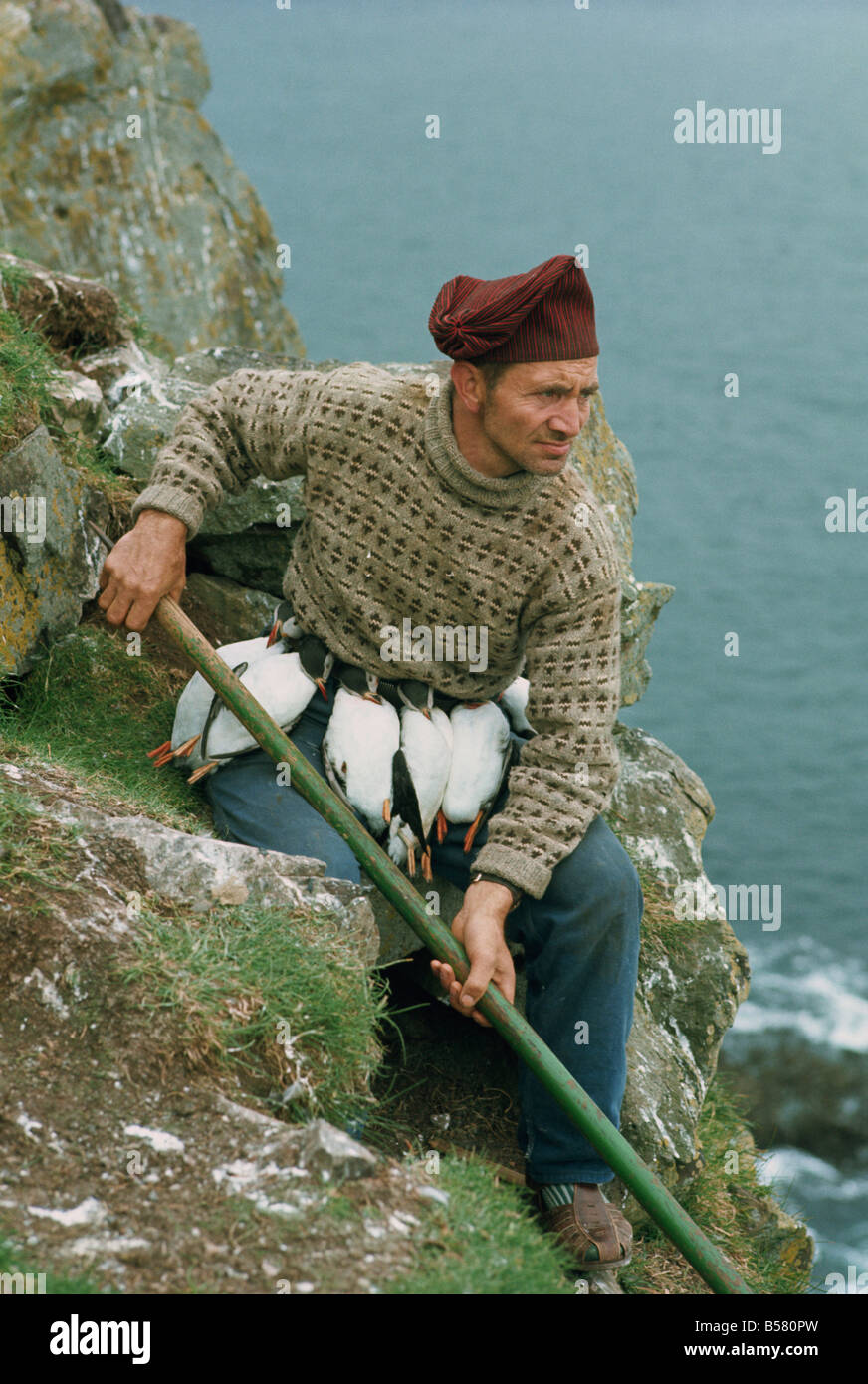 Ritratto di un puffin catcher, con gli uccelli strung intorno alla vita, Isole Faerøer, Danimarca, Atlantico, Europa Foto Stock