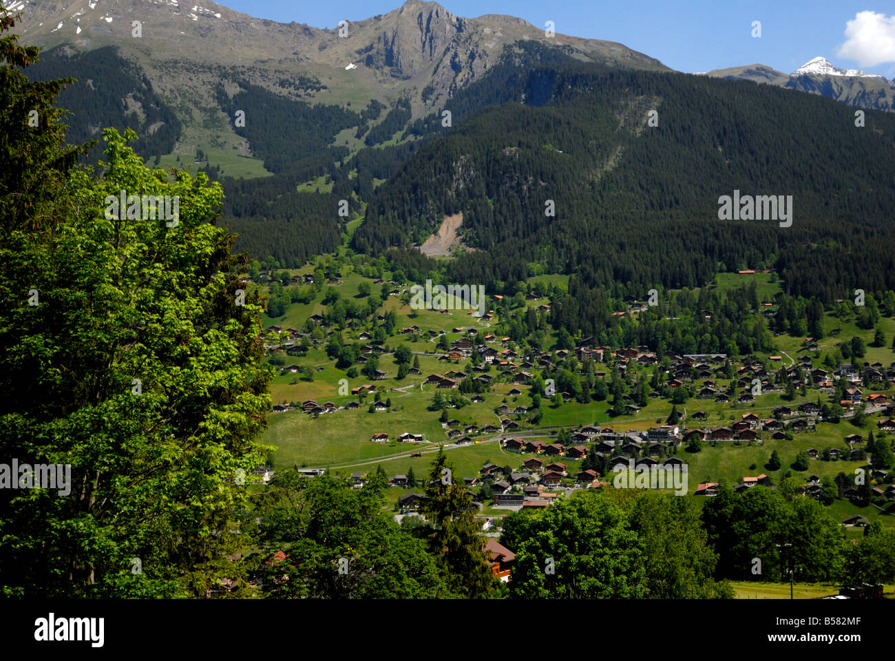 Grindelwald visto dal treno a Kleine Scheidegg, Grindelwald, Berna, Svizzera, Europa Foto Stock