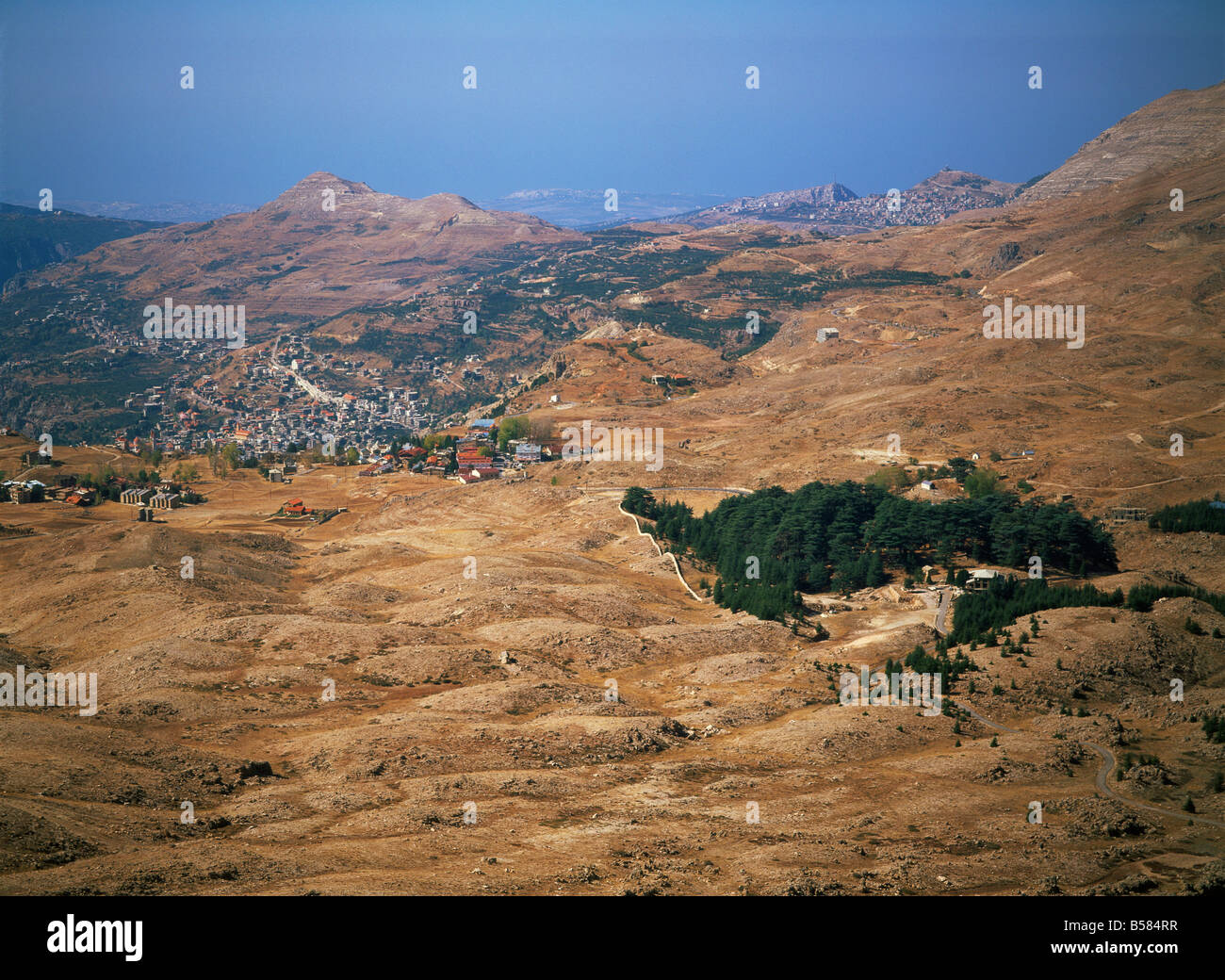 L'ultimo residuo di cedri, Qadisha valle (Ouadi Qadisha) (Valle Santa), il Sito Patrimonio Mondiale dell'UNESCO, Libano, Medio Oriente Foto Stock