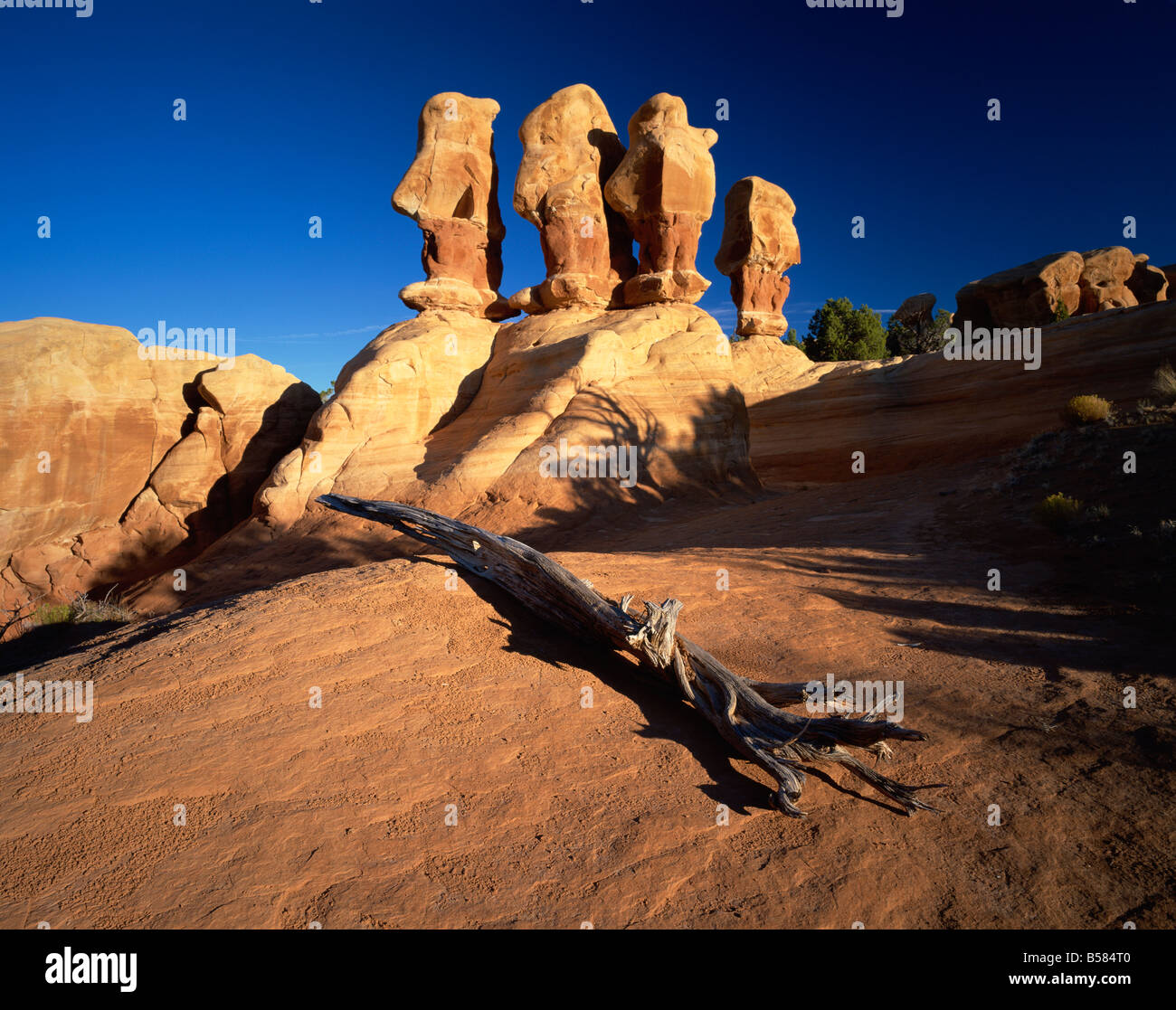 Scolpito formazioni rocciose, Giardino del Diavolo, la grande scala Escalante, Utah, Stati Uniti d'America, America del Nord Foto Stock