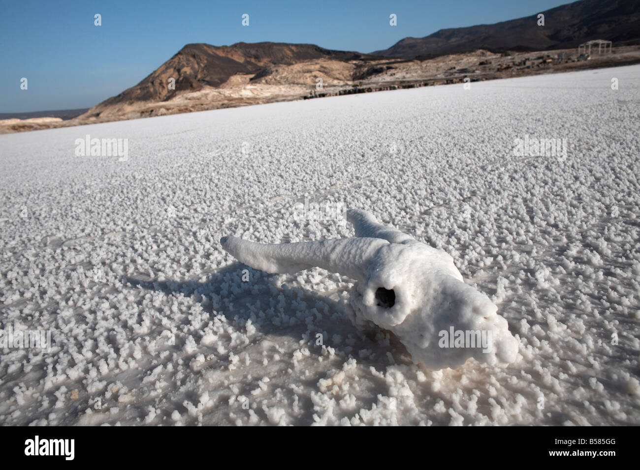 Il punto più basso del continente africano e la maggior parte del corpo salino di acqua sulla terra, Lac Assal, Gibuti, Africa Foto Stock