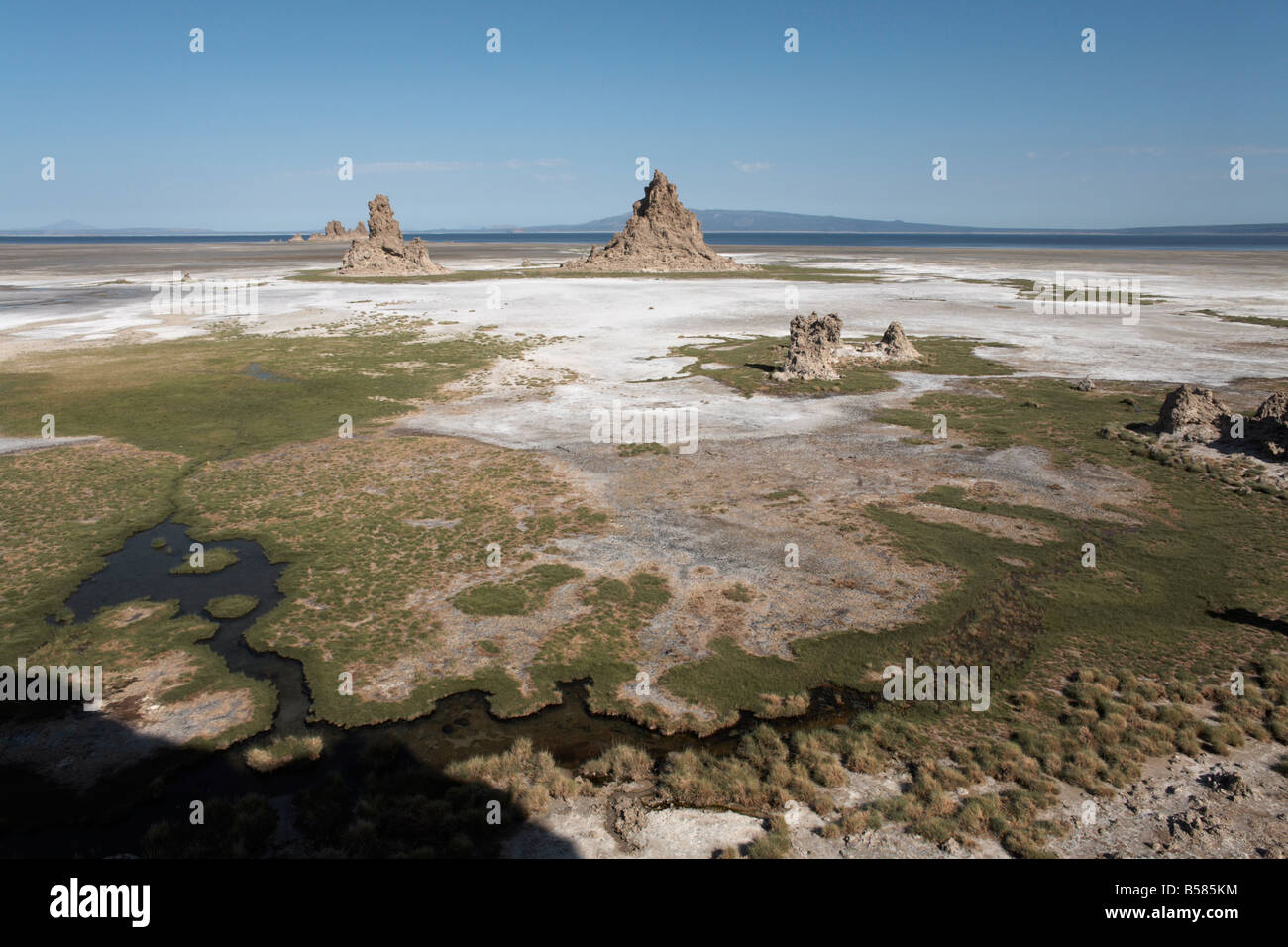 Il paesaggio desolato del Lac Abbe, punteggiate di camini di pietra calcarea, Gibuti, Africa Foto Stock