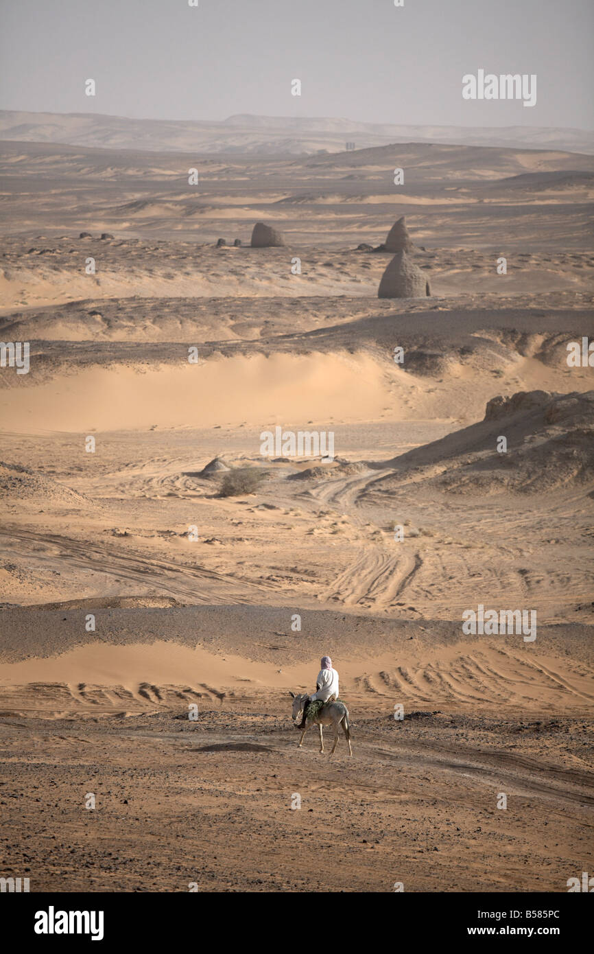 Un uomo a dorso di mula attraversa il deserto intorno alla città antica di Old Dongola, Sudan, Africa Foto Stock