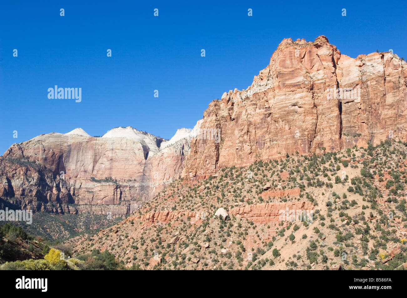 Parco Nazionale di Zion, Utah, Stati Uniti d'America, America del Nord Foto Stock