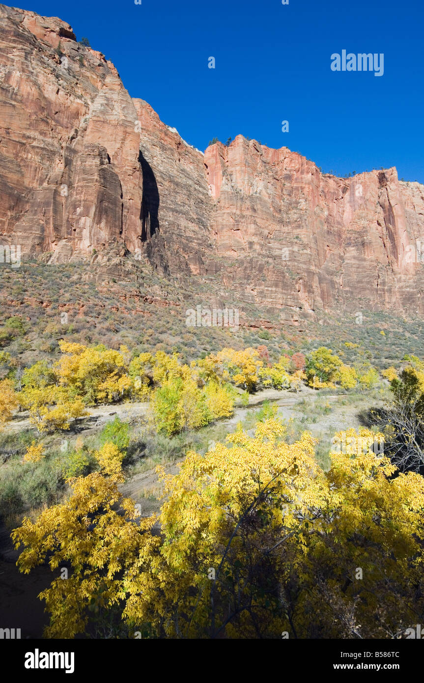 Parco Nazionale di Zion, Utah, Stati Uniti d'America, America del Nord Foto Stock