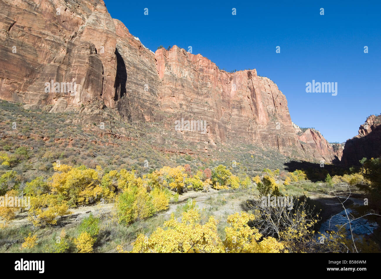 Parco Nazionale di Zion, Utah, Stati Uniti d'America, America del Nord Foto Stock