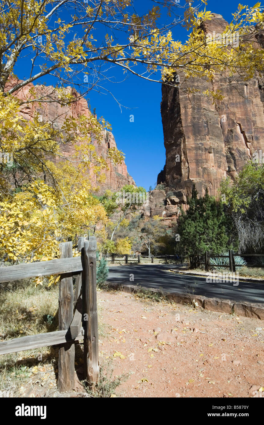 Parco Nazionale di Zion, Utah, Stati Uniti d'America, America del Nord Foto Stock