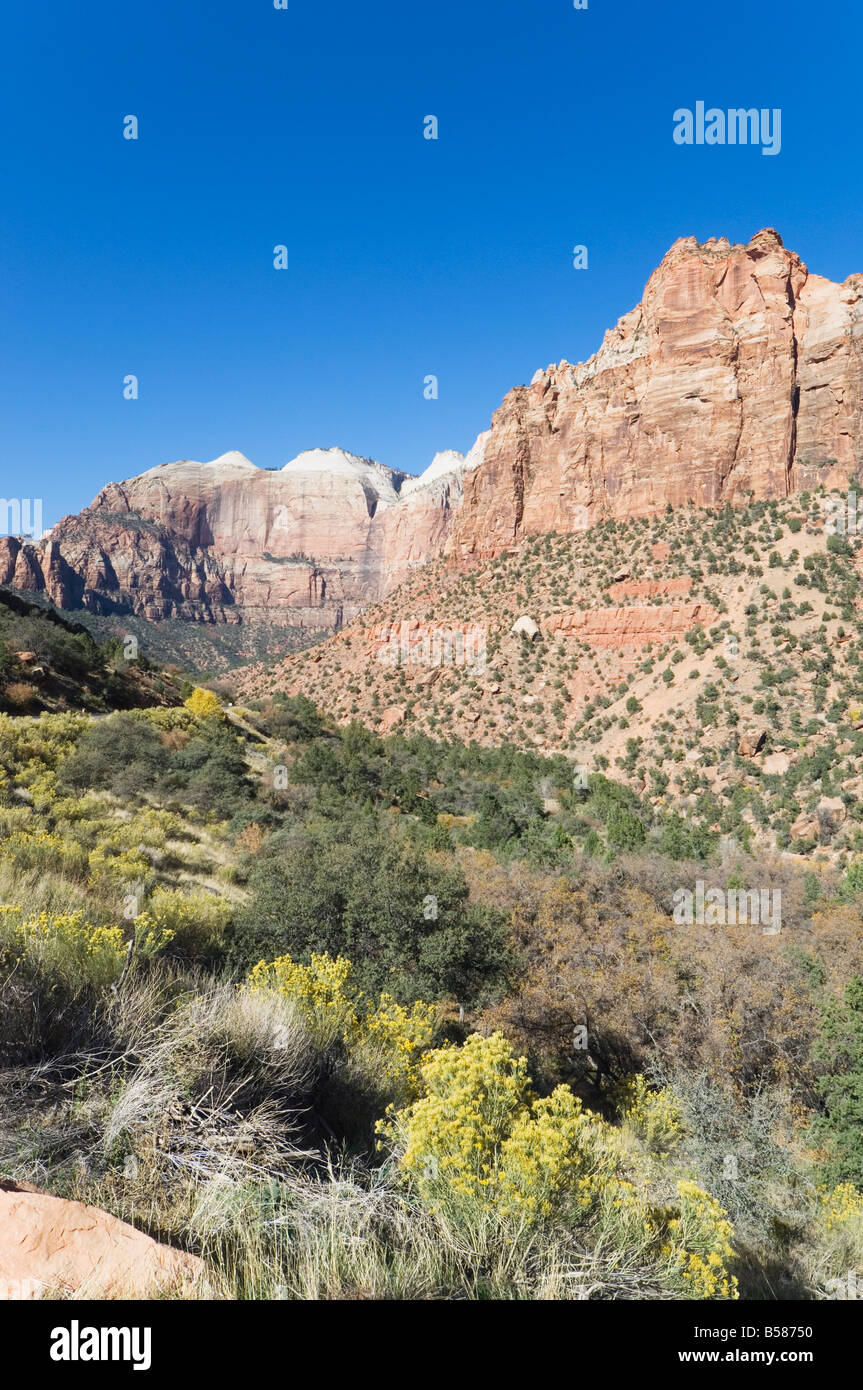 Parco Nazionale di Zion, Utah, Stati Uniti d'America, America del Nord Foto Stock