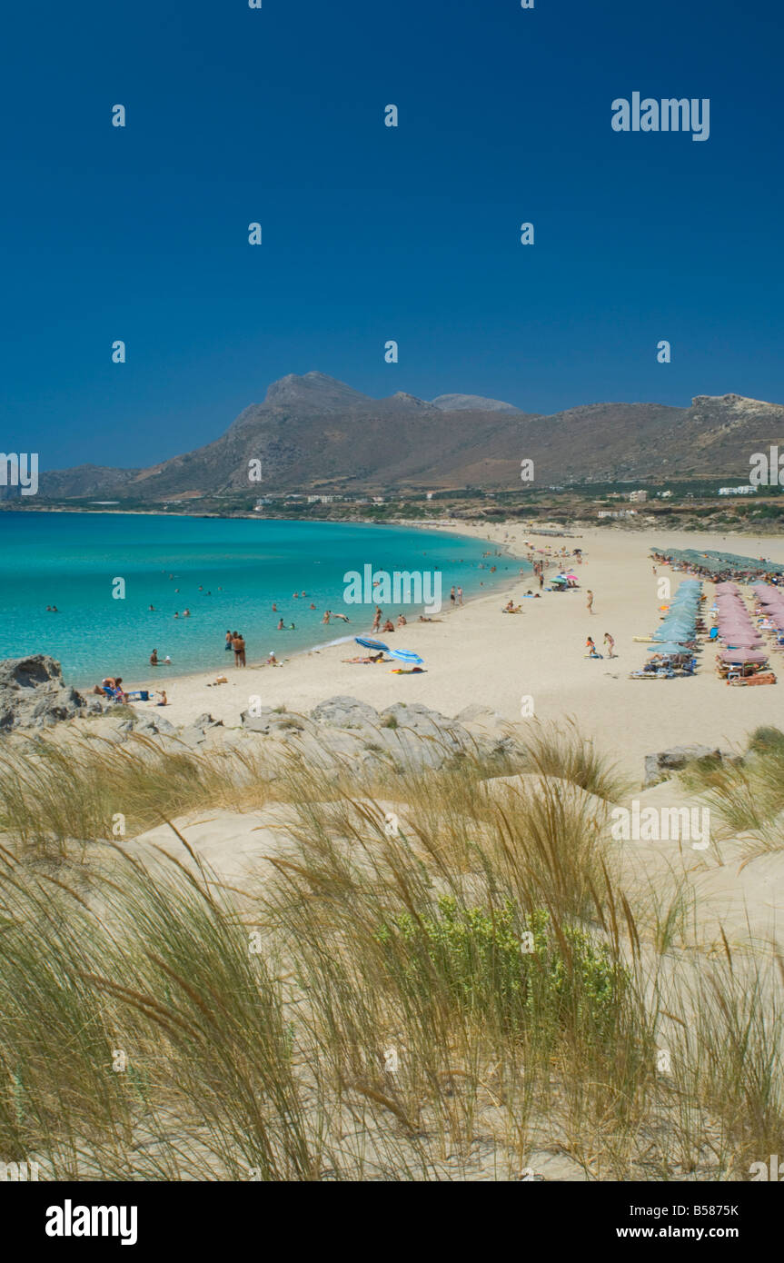 Spiaggia in erba che cresce in dune di sabbia lungo la spiaggia di Phalassarna (Falassarna) sulla costa occidentale di Creta, Grecia, Europa Foto Stock