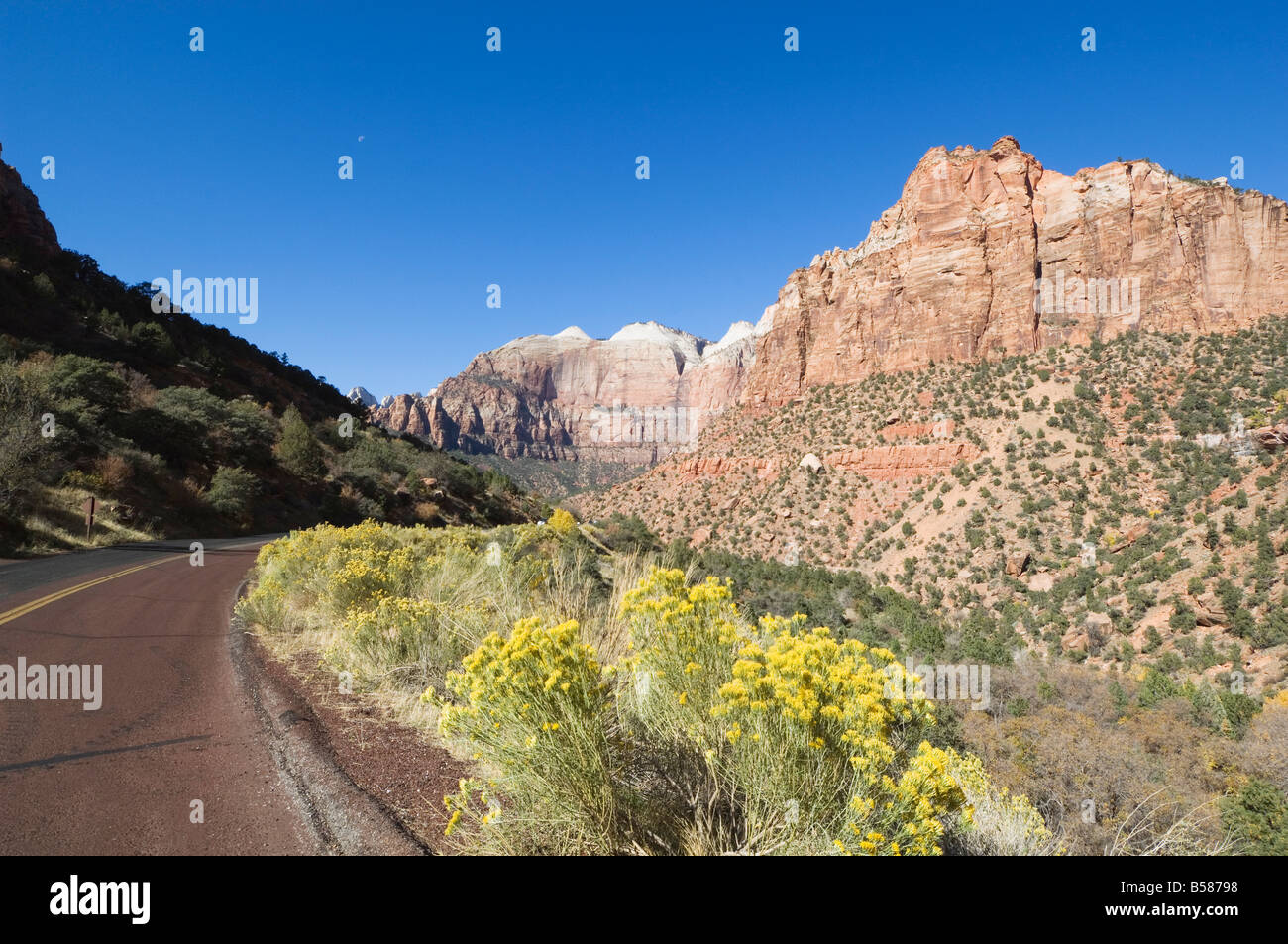 Parco Nazionale di Zion, Utah, Stati Uniti d'America, America del Nord Foto Stock