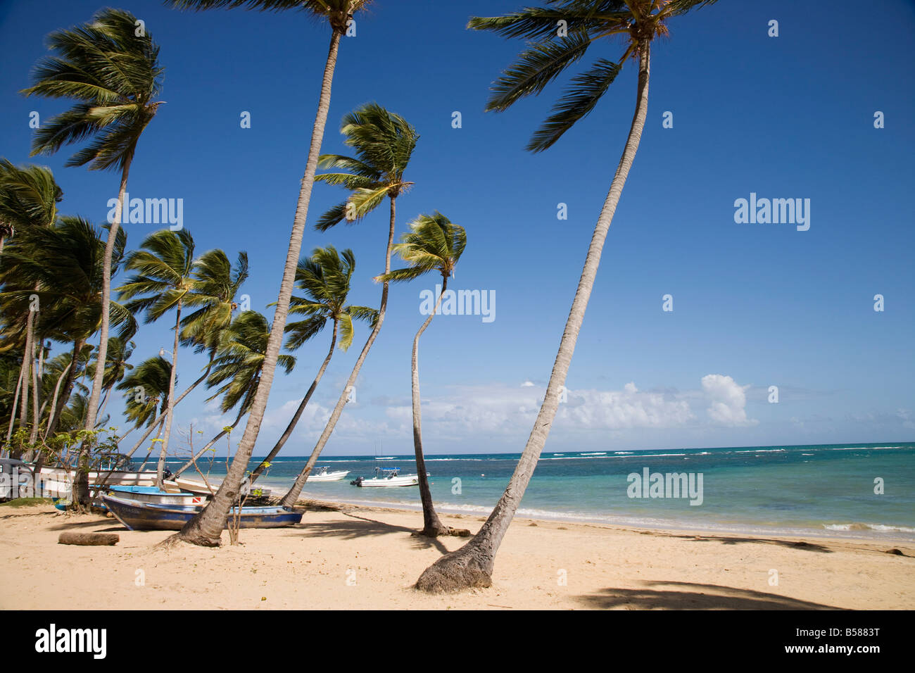 Las Terrenas, penisola di Samana, Repubblica Dominicana, West Indies, dei Caraibi e America centrale Foto Stock
