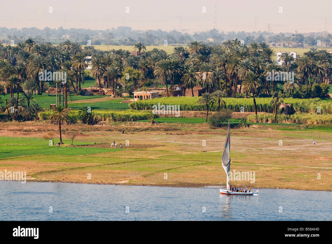 Il Nilo, Luxor, Tebe, Medio Egitto Egitto, Africa Settentrionale, Africa Foto Stock