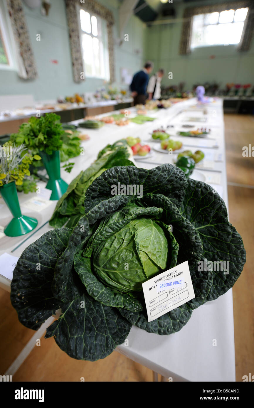 Un tradizionale flower show nel villaggio rurale di verdure hall bedeck i piani tavolo. Foto da Jim Holden. Foto Stock