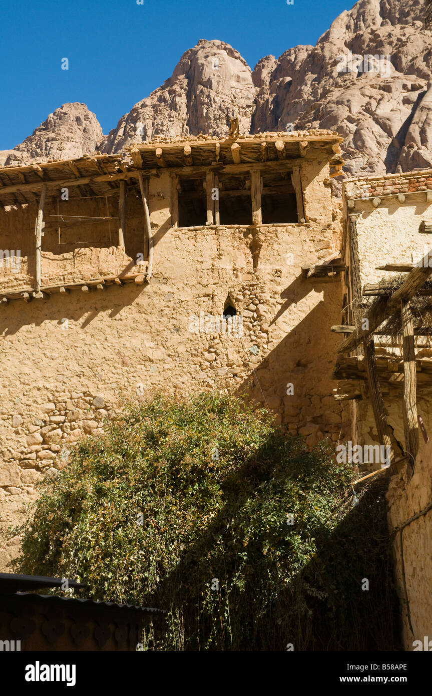 Il roveto ardente, il Monastero di Santa Caterina, Sito Patrimonio Mondiale dell'UNESCO, Sinai, Egitto, Africa Settentrionale, Africa Foto Stock