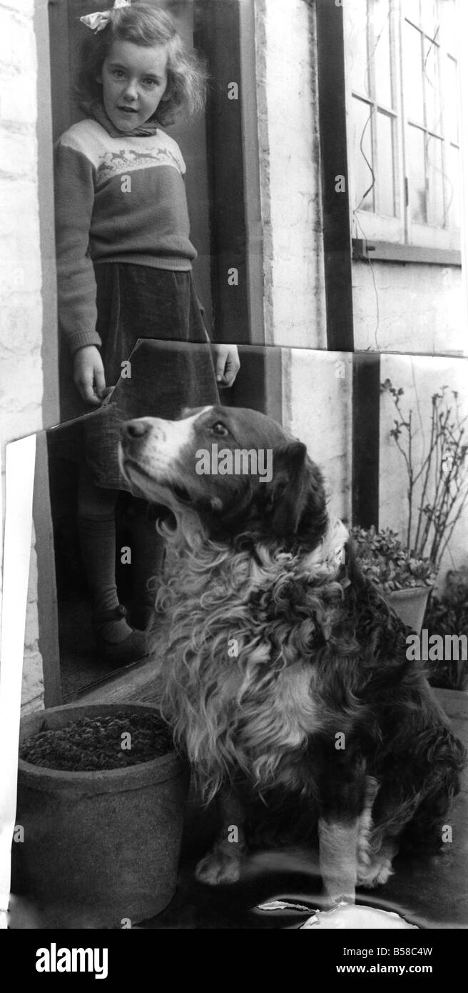 Animali: Cani. "Vic" di Angmering, Sussex con una bambina sulla soglia di casa. Aprile 1953 P006100 Foto Stock