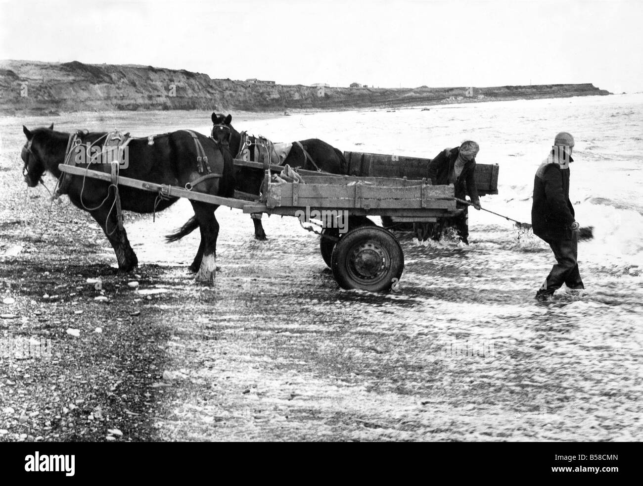 Seacoal raccoglitori a lavorare su una spiaggia di Northumberland Foto Stock