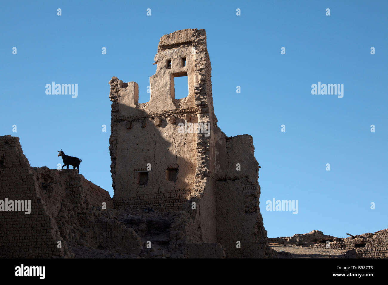 Una capra si erge tra le rovine di mattoni di fango città di Al-Qasr, Dakhla Oasis, Egitto, Africa Settentrionale, Africa Foto Stock