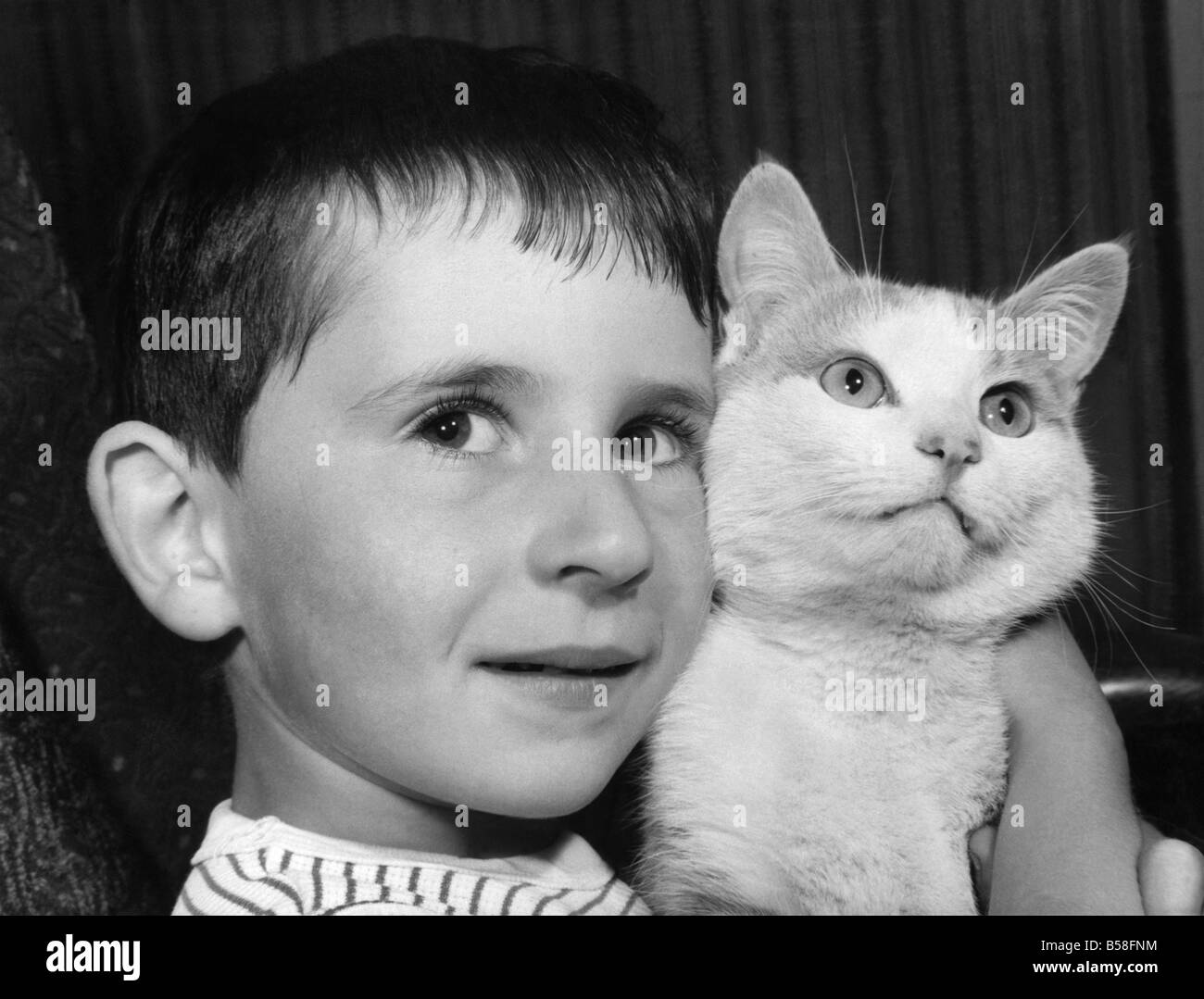 Sei-anno-vecchio Graham Bryce riunita con il suo gattino venerdì (22-9-1967). Sett. 1967 P006115Animals-Children e cani. Mar. 1963 Foto Stock