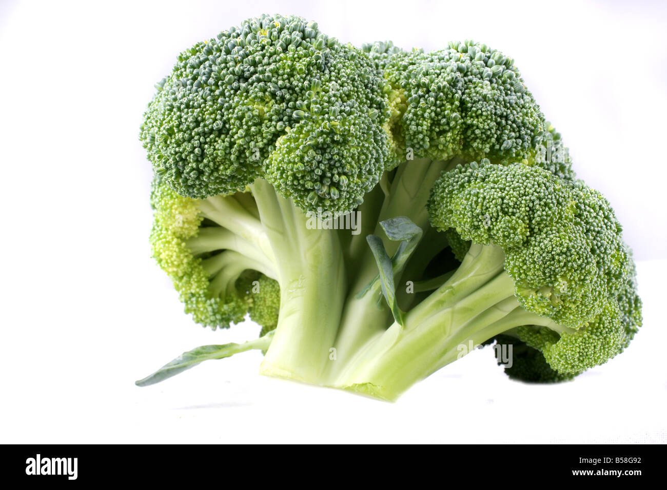 Fresco verde broccoli Foto Stock