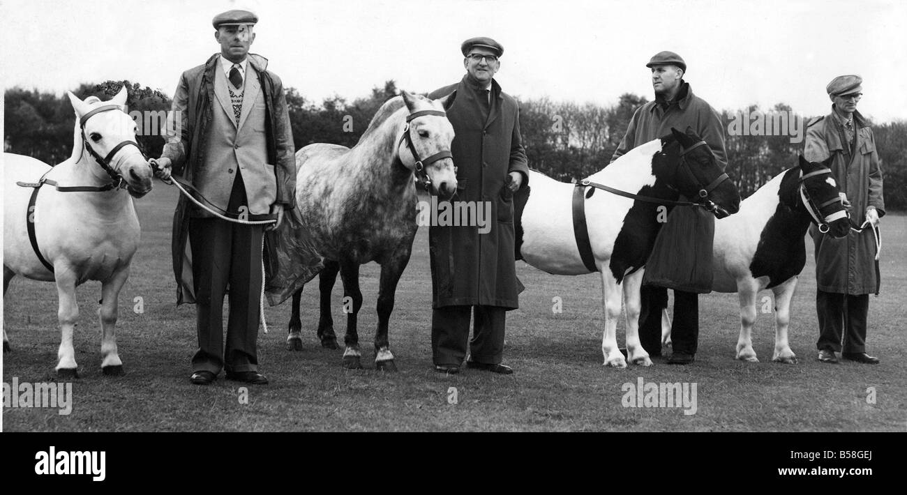 E qui sono i fortunati quattro scelti per il Royal Show apertura il 4 luglio da sinistra a destra con i loro aiutanti sono Charlie 8 burnopfield colliery helper piani normanno Nat 6 Langley Park Colliery edward Miller Pompy 8 Blackhall Colliery Thomas flackerty e Kent 7 Kibblesworth colliery Edward Dewson sono il primo pit pony per essere inviato da Durham per tre anni Foto Stock