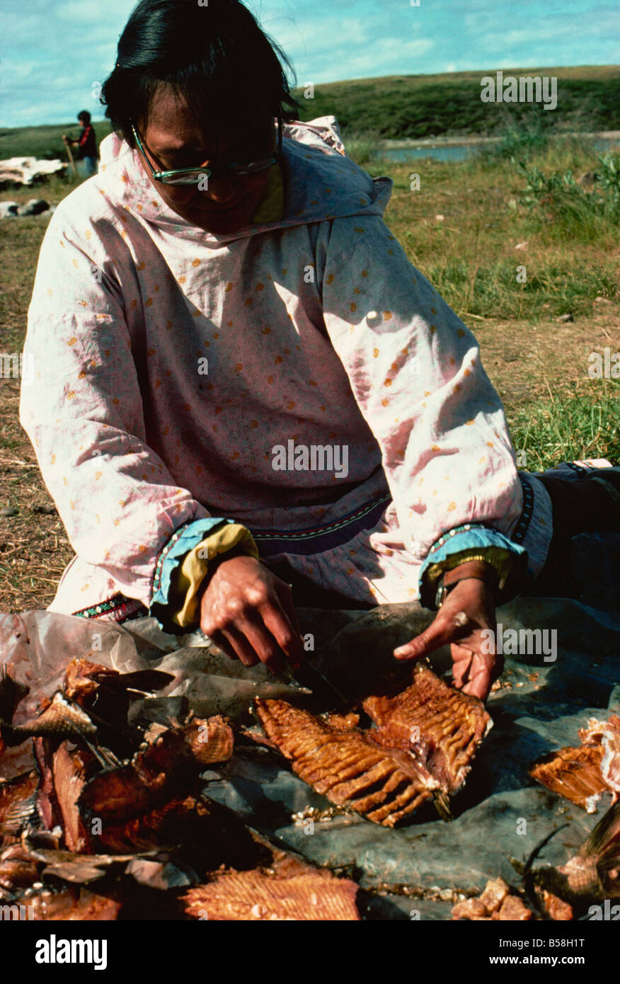 Essiccato coregoni puliti e tagliati dopo essiccamento, Eskimo della caccia alla balena camp, adottate negli anni settanta, Beaufort Sea, Canada Foto Stock