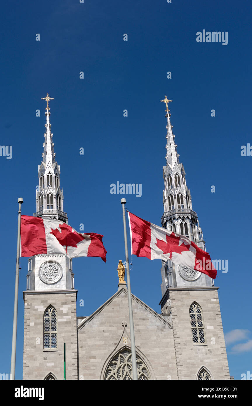 La cattedrale e la Basilica di Notre Dame, la cappella cattolica, Ottawa, Provincia di Ontario, Canada Foto Stock