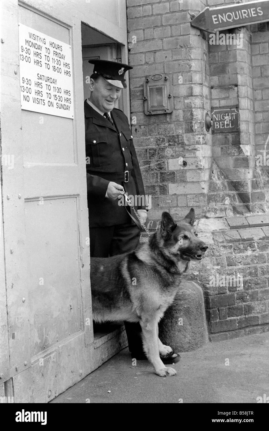Polizia: Cane grande gestore con Gerald Ewing. Marzo 1975 75-01234-002 Foto Stock