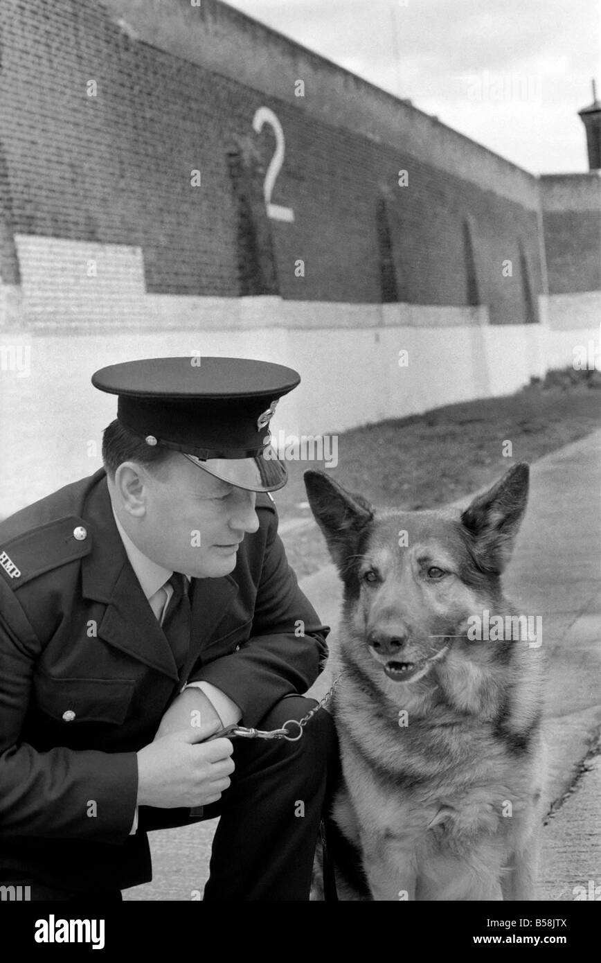 Polizia: Cane grande gestore con Gerald Ewing. Marzo 1975 75-01234-004 Foto Stock