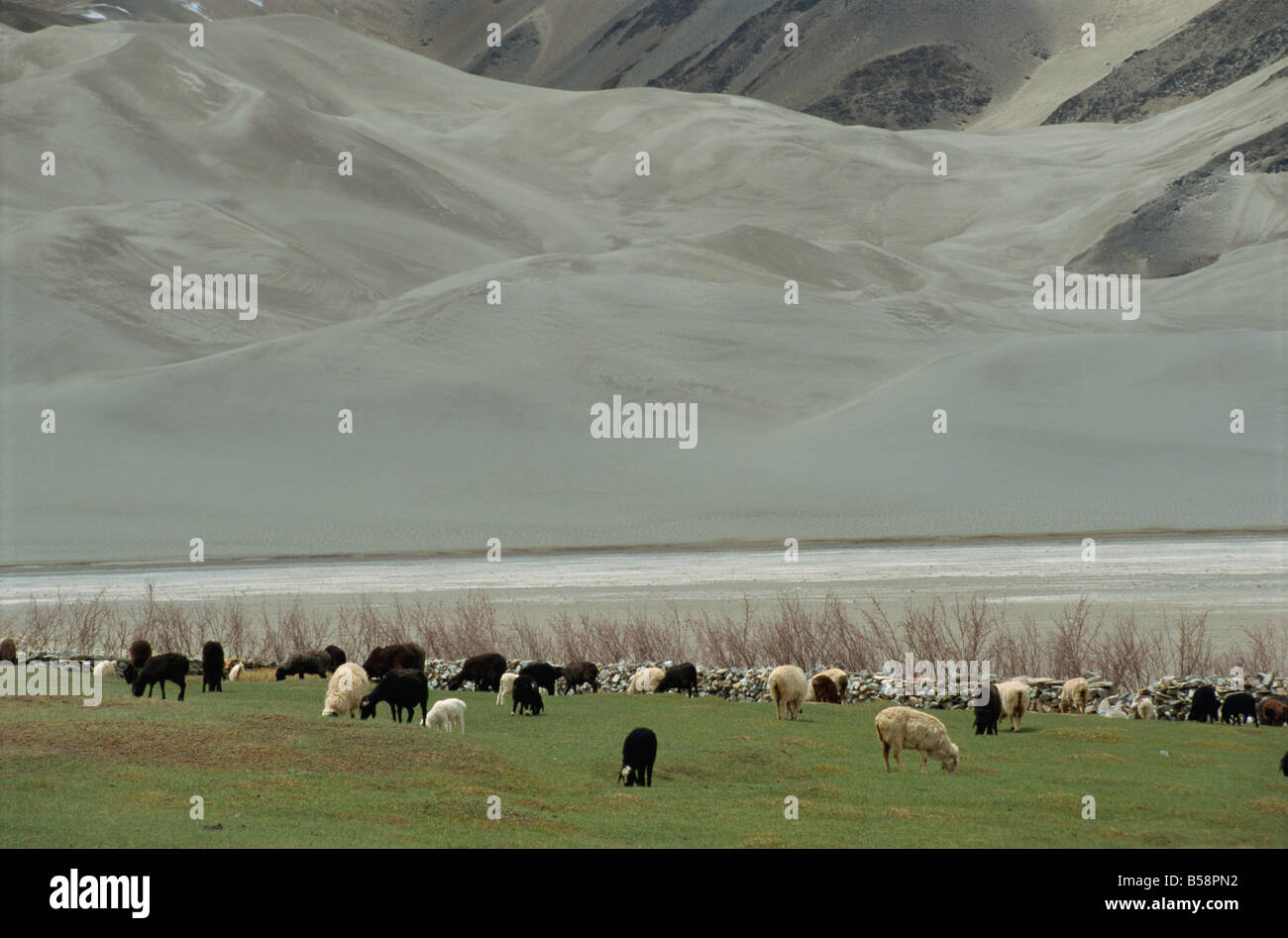 Scenario da la Karakoram Highway Xinjiang Cina Asia Foto Stock