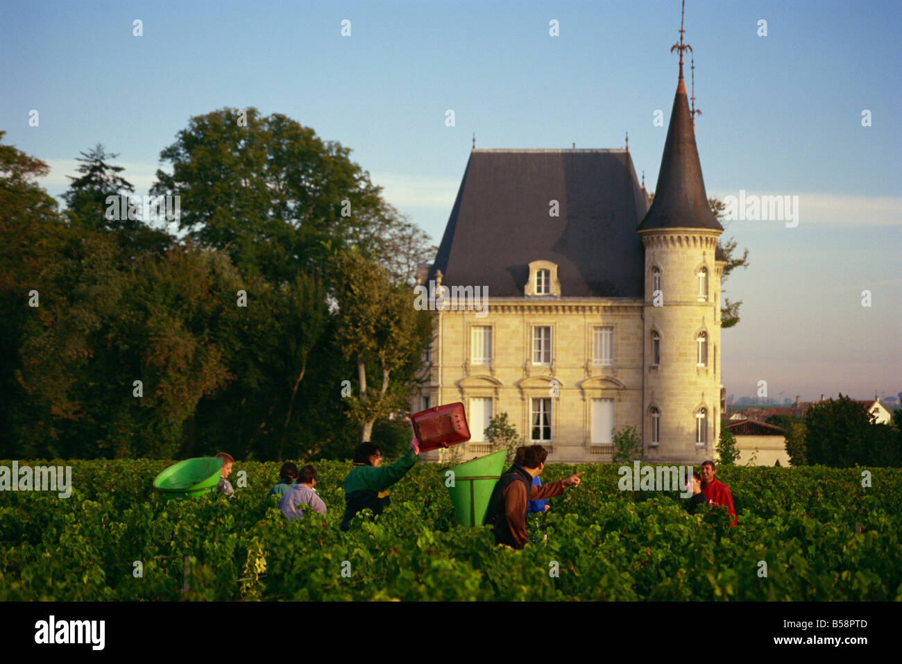 Chateau Pichon Longueville, Medoc, Pauillac, Aquitania, in Francia, in Europa Foto Stock