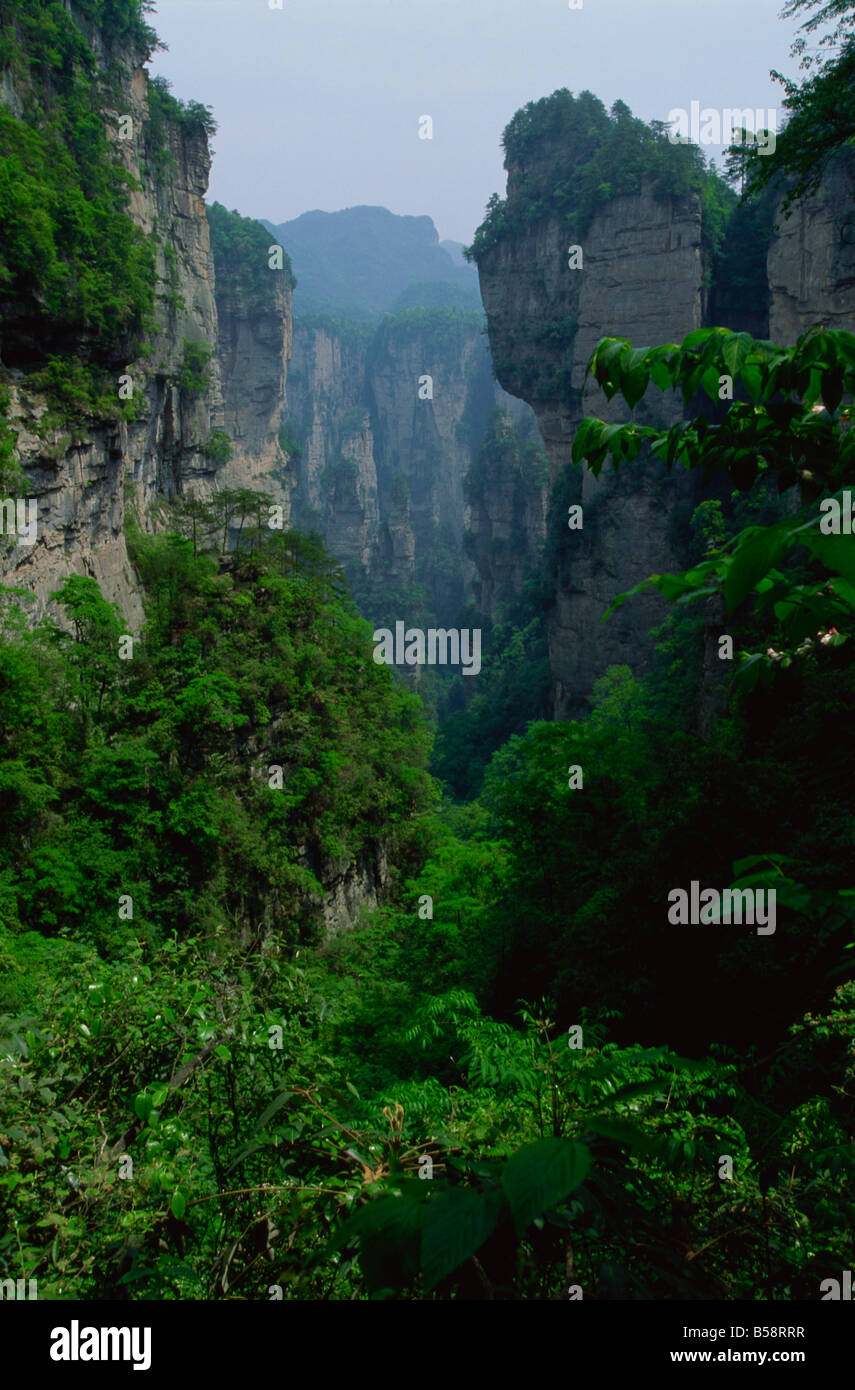 Le spettacolari affioramenti calcarei e valli boscose di Zhangjiajie Forest Park, Wulingyuan Scenic Area, Hunan, Cina Foto Stock