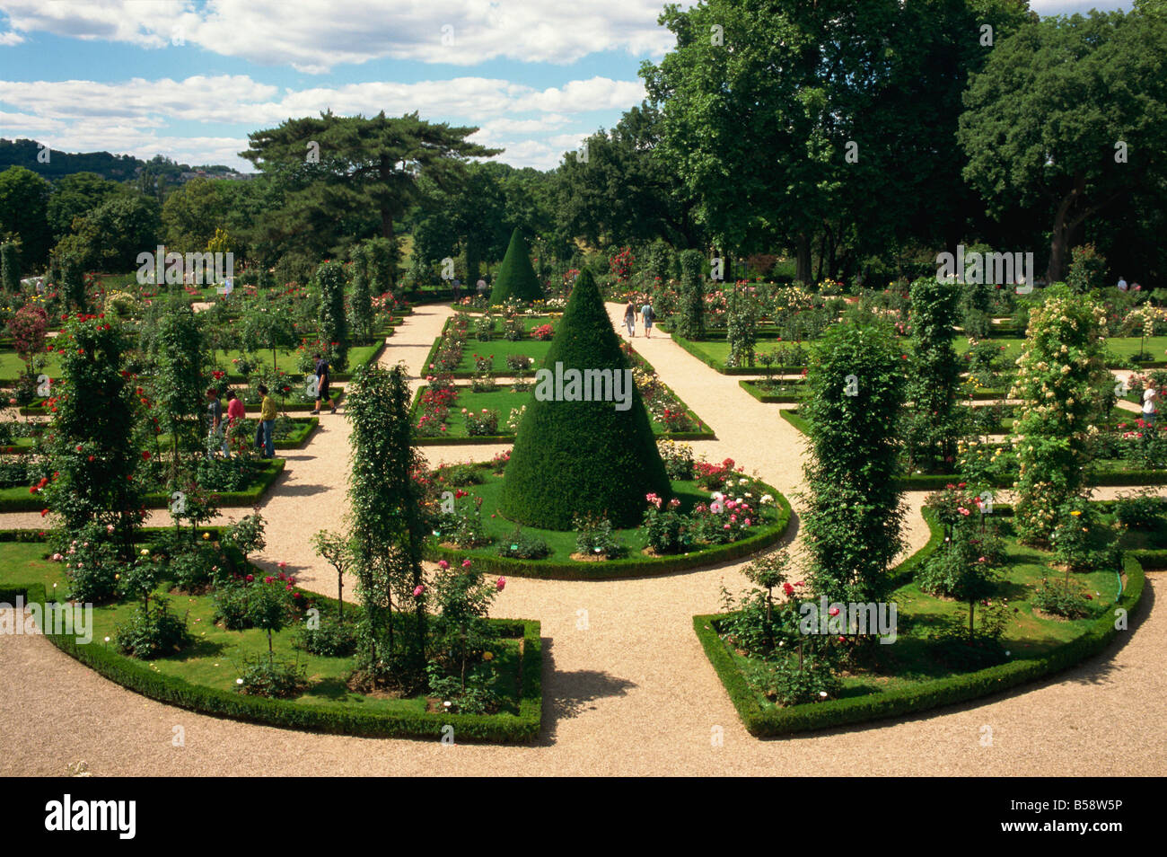 Bagatelle giardino di rose Bois de Boulogne Parigi Francia Europa Foto Stock