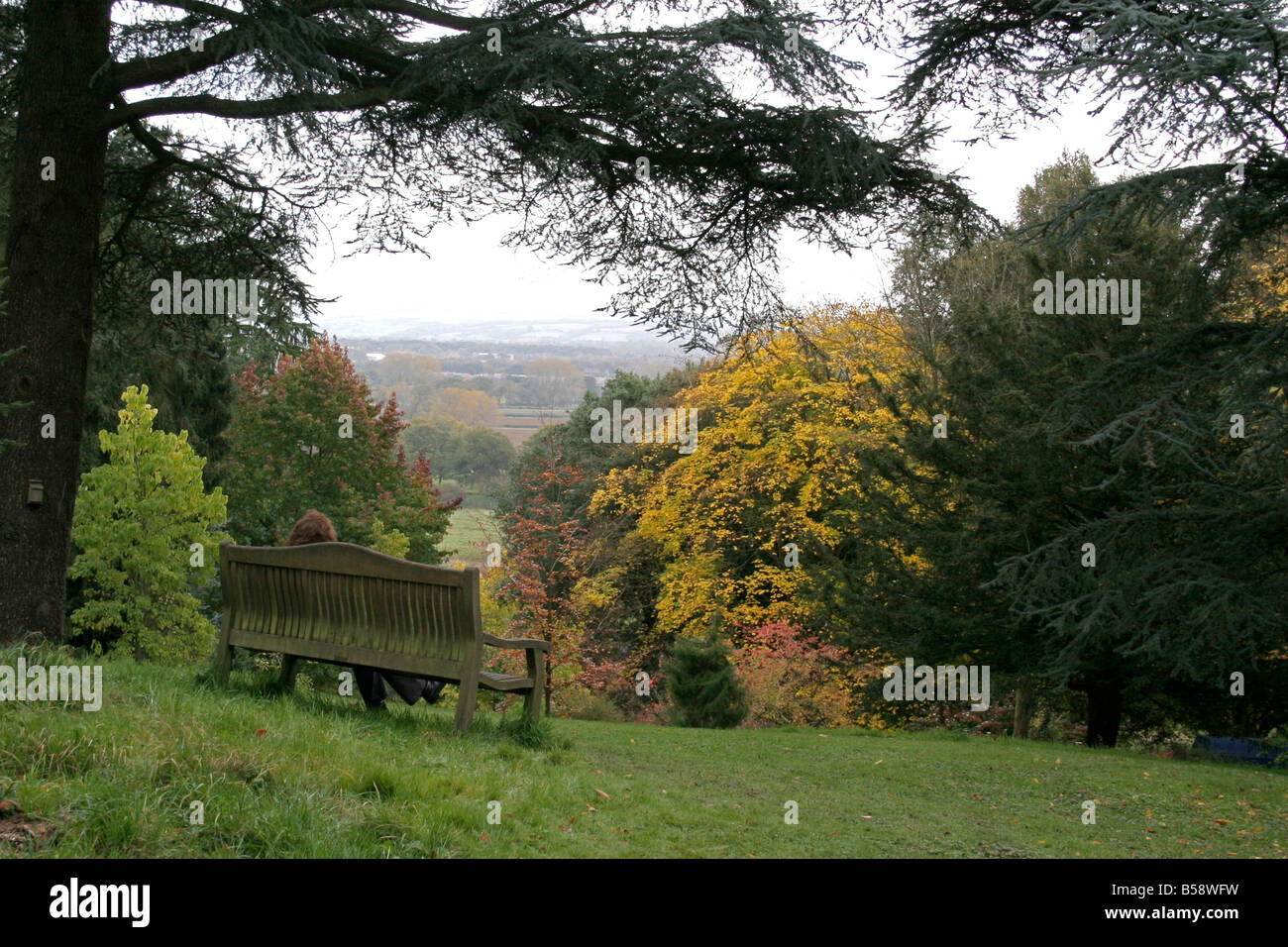 Batsford Arboretum gloucestershire Foto Stock