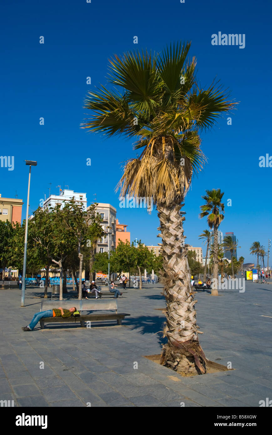 Ora della siesta presso la spiaggia di Barceloneta a Barcellona Spagna Europa Foto Stock