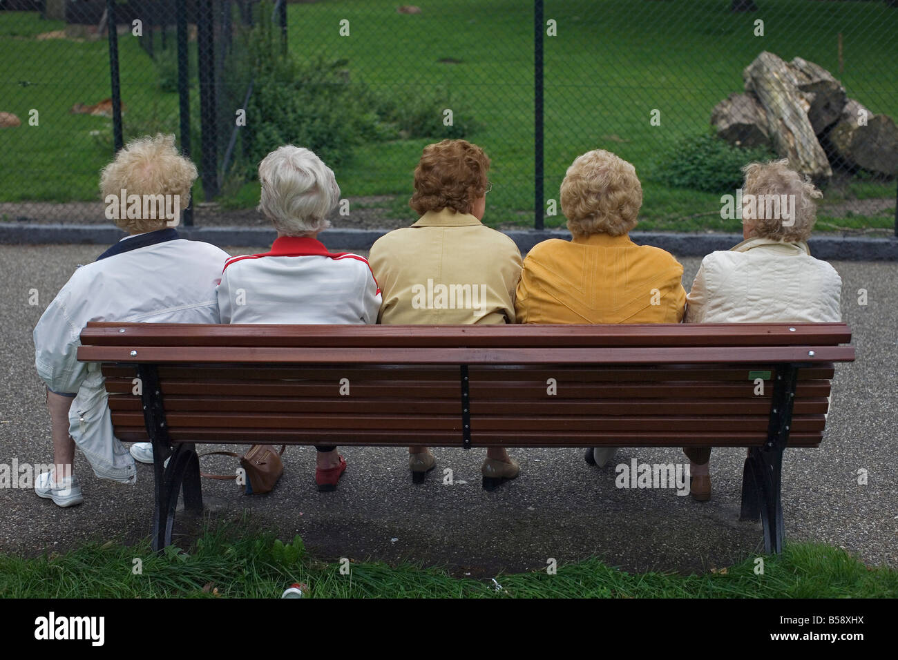 Cinque le donne anziane si appoggiano su un banco in un parc pubica. Foto Stock