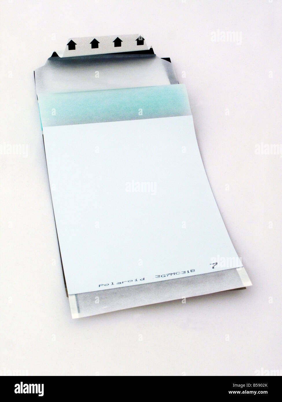 Un pezzo di Polaroid Pellicola Istante Foto Stock