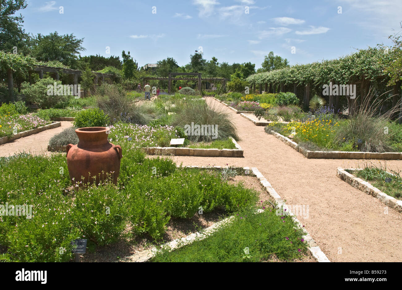 Texas Hill Country Austin Lady Bird Johnson Centro di fiori selvaggi giardini a tema Foto Stock