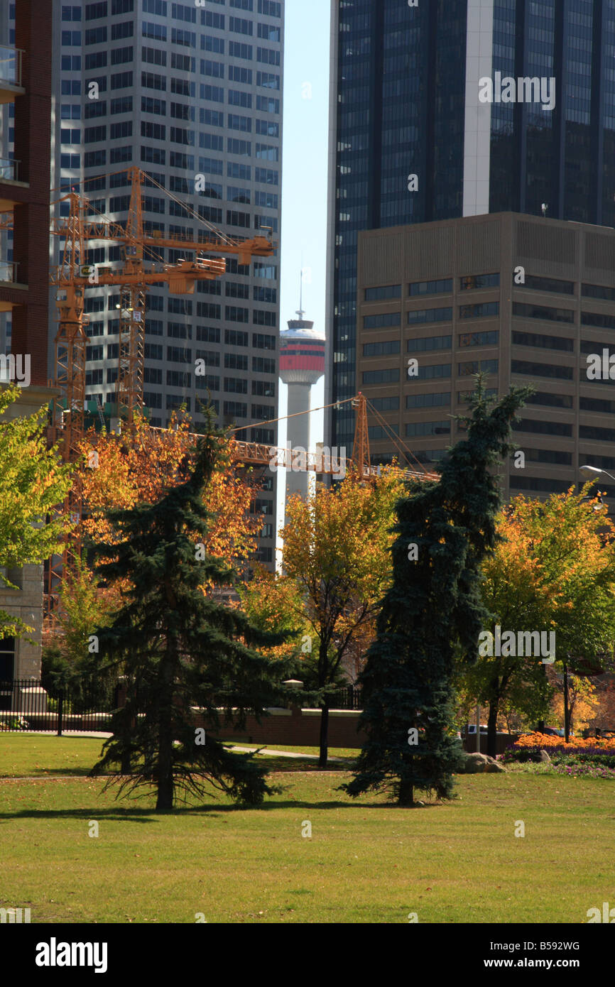 Gru nel parco cittadino di Calgary, Alberta Foto Stock