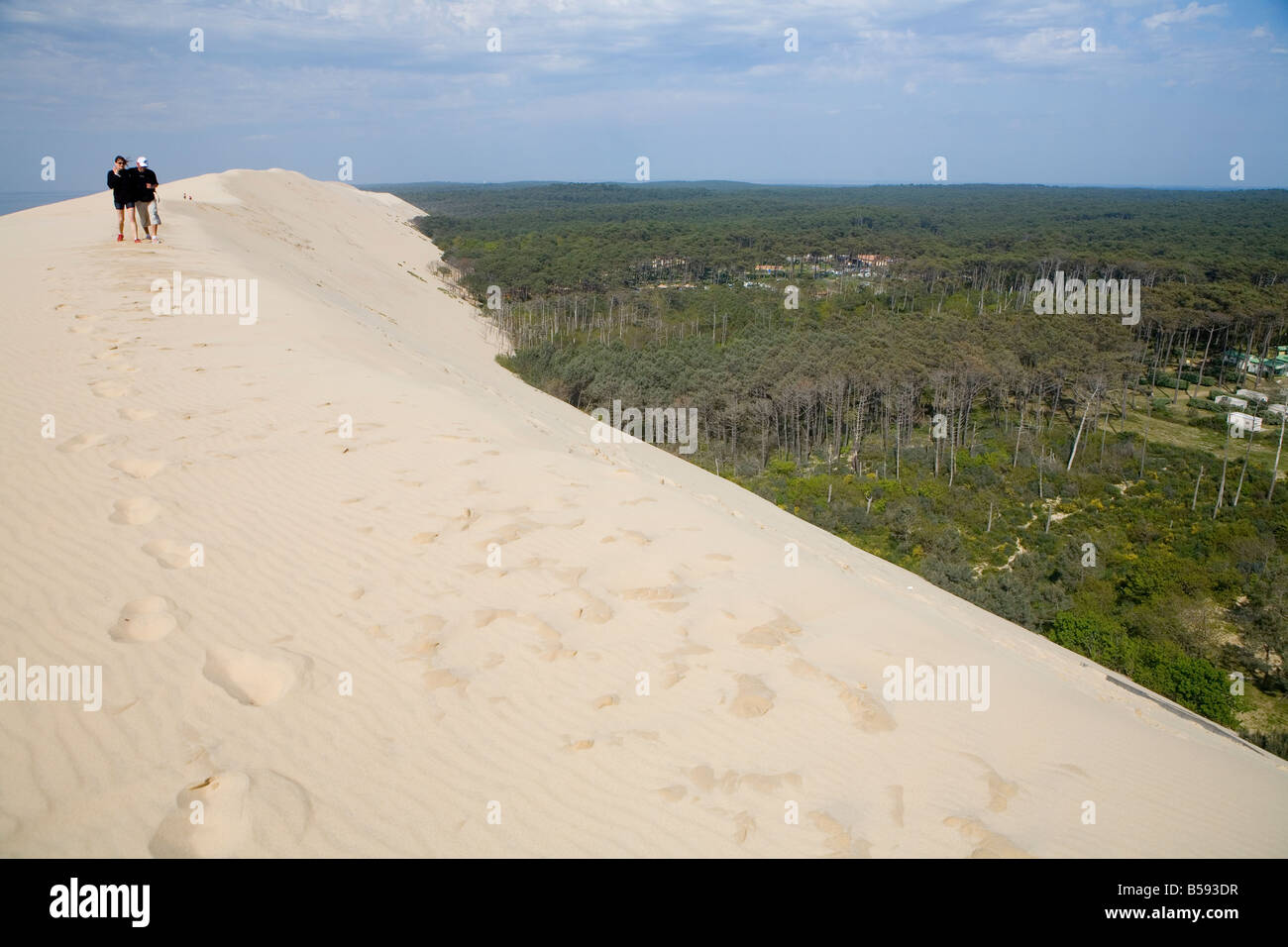 Le Dune du Pilat, le dune di sabbia più alte in Europa Foto Stock