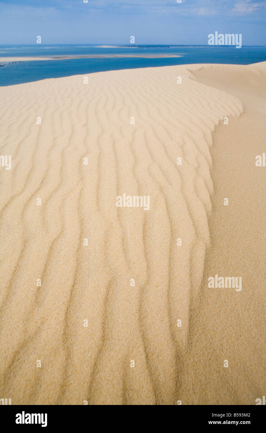 Le Dune du Pilat, le dune di sabbia più alte in Europa Foto Stock