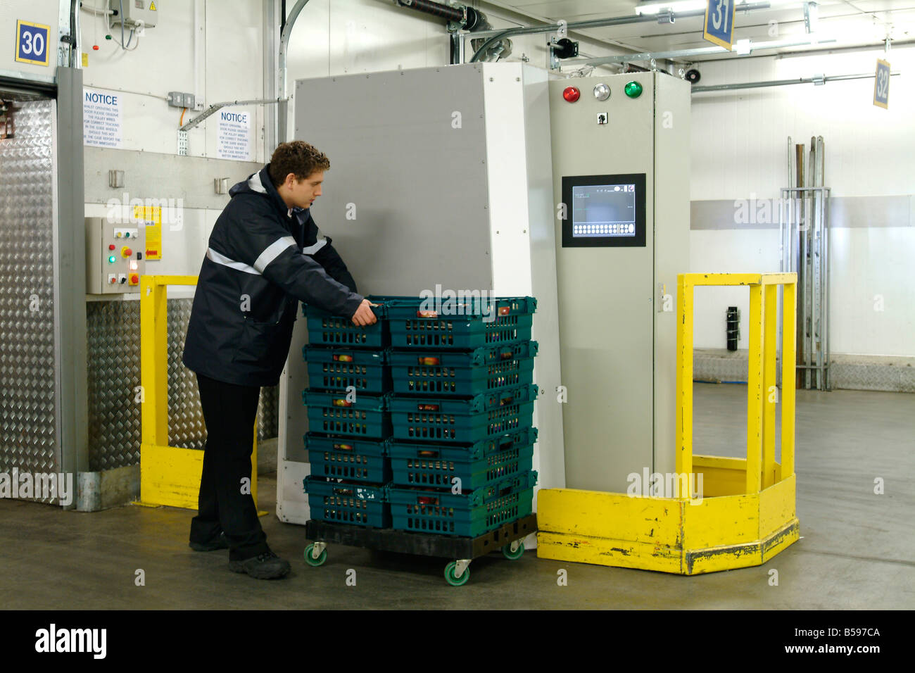 Lavoratore vassoi di scansione di mele fresche passato industriale scanner RFID in un magazzino di distribuzione Foto Stock