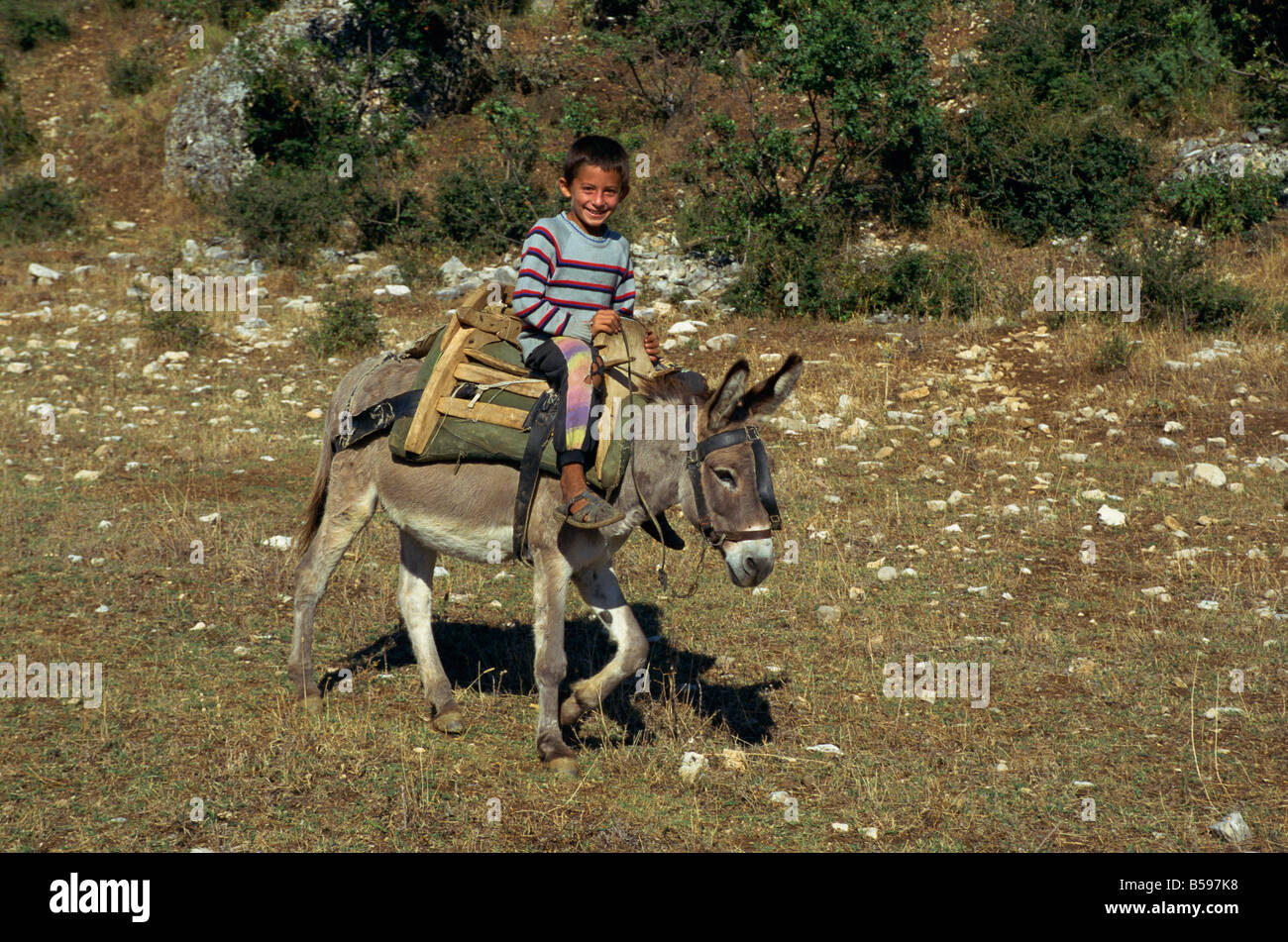 Un bambino seduto su una sella di legno a dorso di mulo nella valle Vjosa in Albania D C Poole Foto Stock